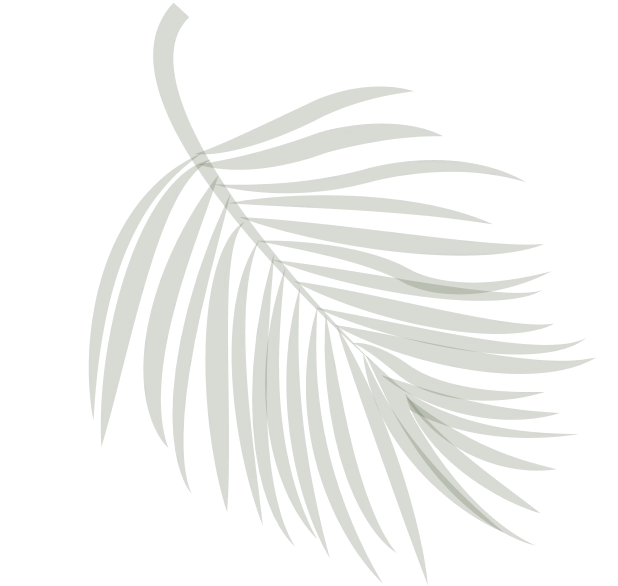 Textura de hoja tropical